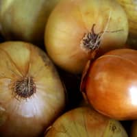 oignons
