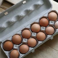 oeuf