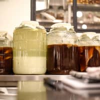 boissons fermentées