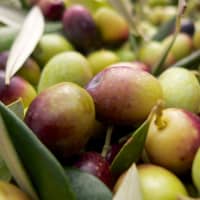 olives