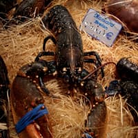 homard