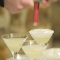 gin fizz