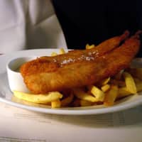 haddock