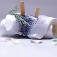 rollmops