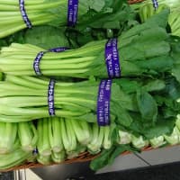 bok choy