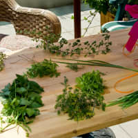 herbes aromatiques