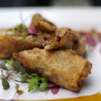 nems au canard