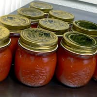 sauce tomate