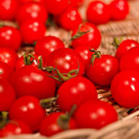 tomate cerise