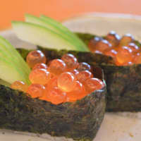 oeufs de poisson