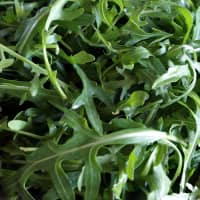roquette