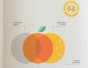 Le grand précis des fruits à éplucher