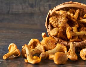 La girolle