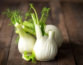 Le fenouil