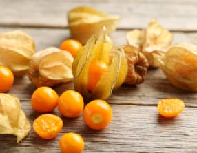 Le physalis