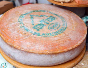 La fontina