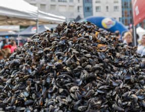 Ce week-end la grande braderie de Lille fait son retour !