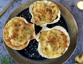 La coquille saint-jacques, star intemporelle des fêtes