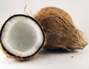 La noix de coco