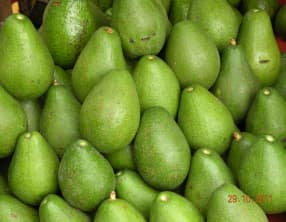 L'avocat