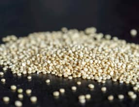 Le quinoa