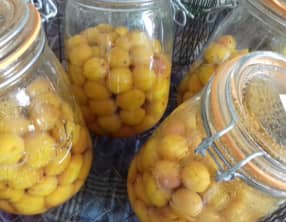 Des recettes pour agités du bocal