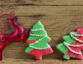 Ti'biscuit prépare noël avec ses amis