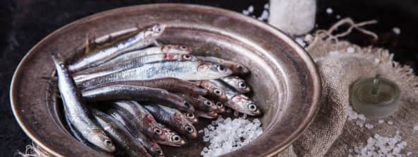 L'anchois