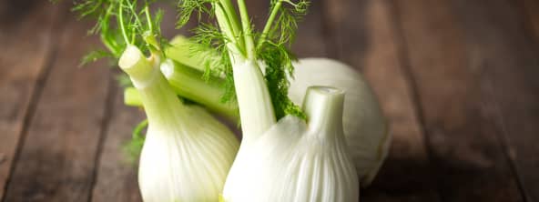 Le fenouil