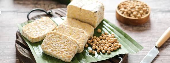 Le tempeh
