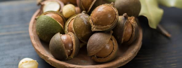 La noix de macadamia