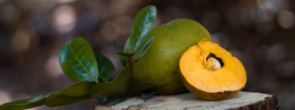 La lucuma