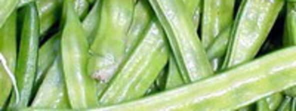 Gomme de Guar