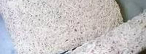 Konjac