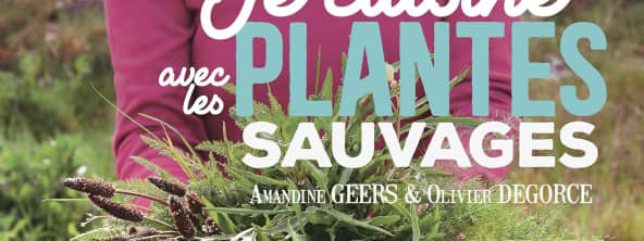 Je cuisine les plantes sauvages