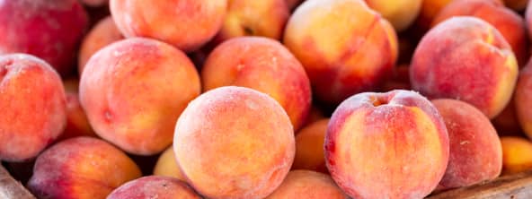 Les pêches, brugnons et nectarines
