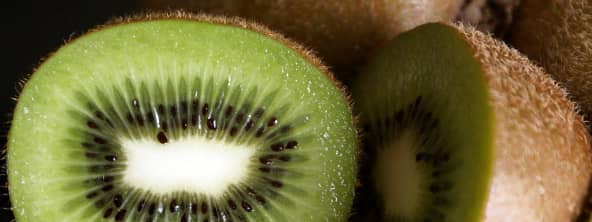 Le kiwi