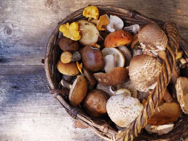 Assortiment de champignons 