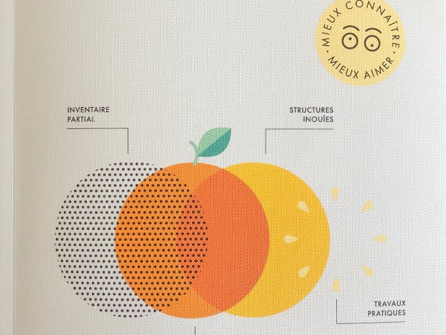 Le grand précis des fruits à éplucher