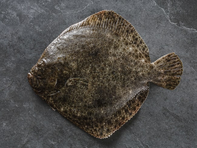 Turbot entier sur pierre noire