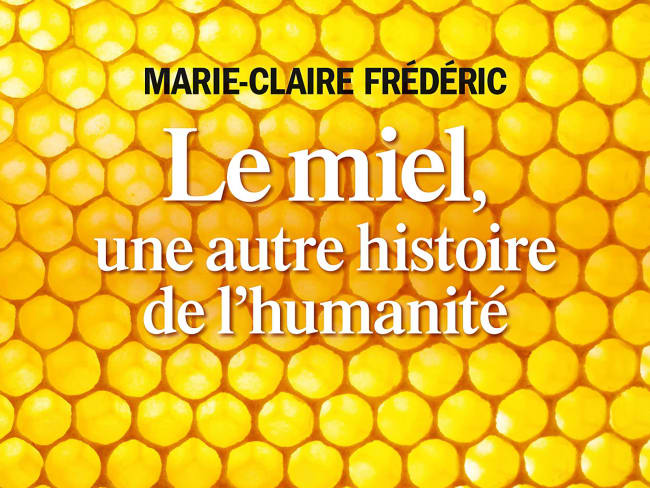 Le miel, une autre histoire de l'humanité