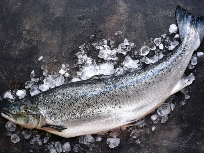 Saumon frais entier sur glace