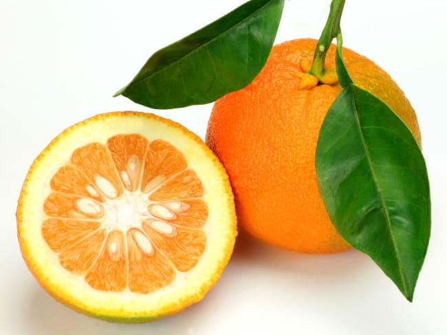 L'orange amère