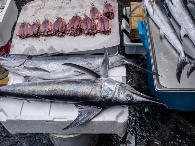 Espadons sur le marché aux poissons