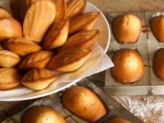 Madeleines sur assiette et dans leur moule en fer blanc