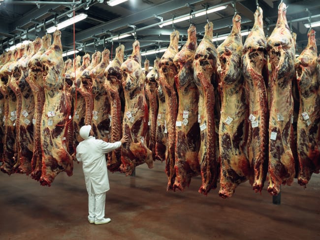 Abattoir