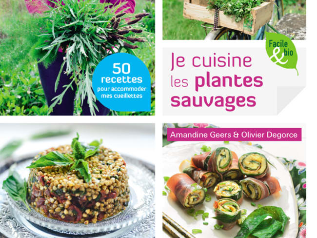 Je cuisine les plantes sauvages