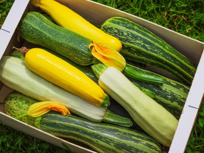 Cagette de courgettes de différentes variétés