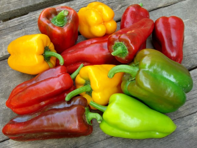 Poivrons colorés sur table en bois