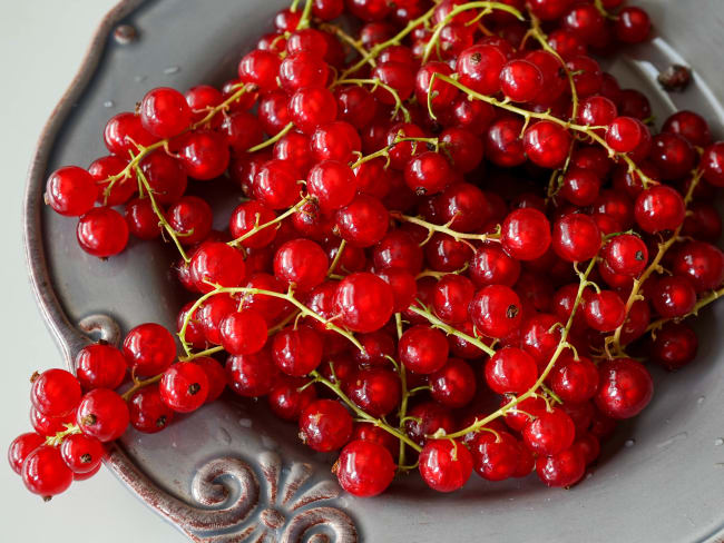 Groseilles rouges sur assiette grise